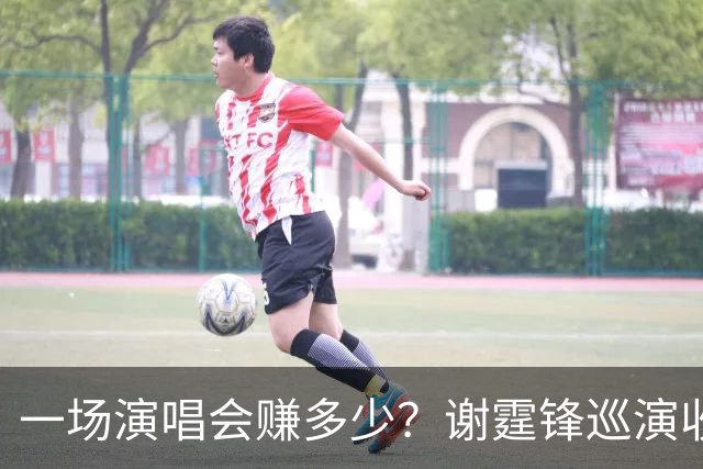 一场演唱会赚多少？谢霆锋巡演收入曝光 看完才懂老牌港星有多能打