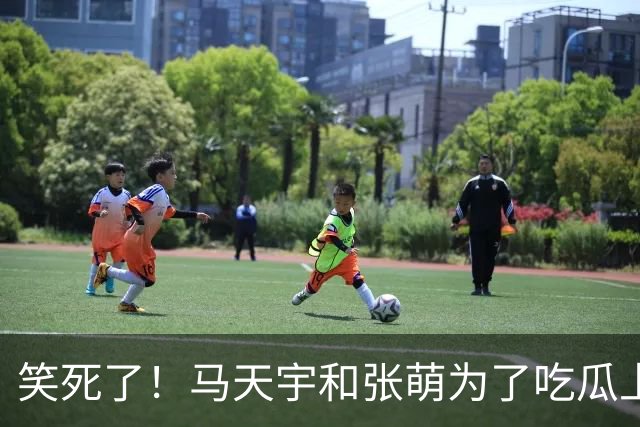 笑死了！马天宇和张萌为了吃瓜上《后会友期》，没想到评论区句句都是梗